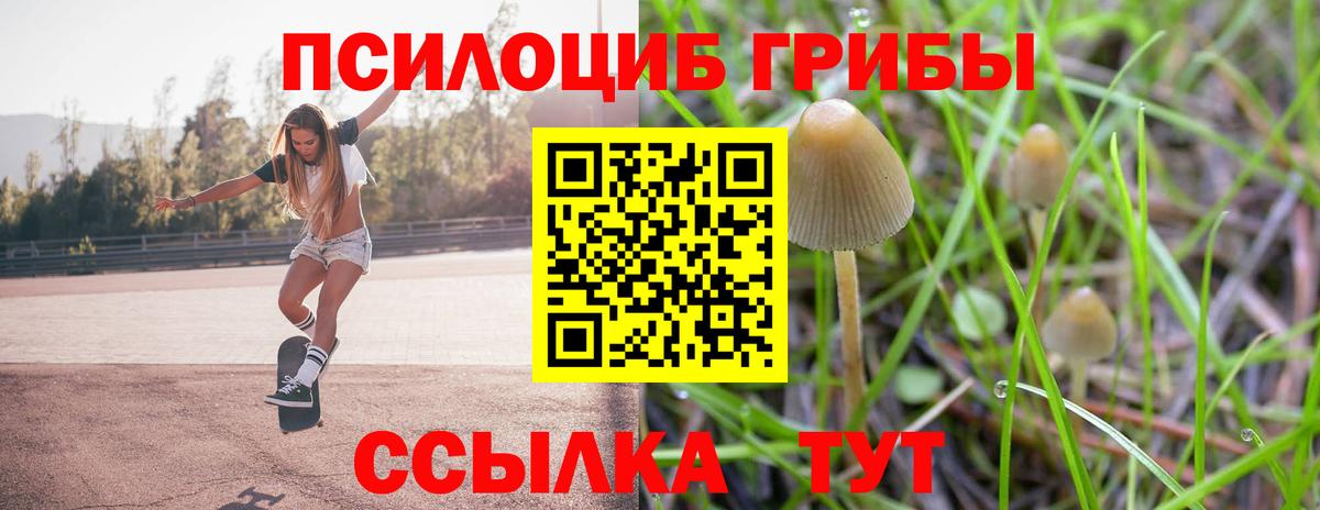 Псилоцибиновые грибы Magic Shrooms  Галлюциногенные грибы Magic Shrooms  где продают   Верхняя Пышма  Вход с VPN 